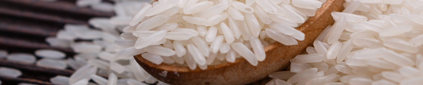 Reis-Beilagen von Alnatura