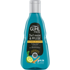 Guhl MEN 3in1 Shampoo Frische & Pflege für Haar, Körper & Gesicht 250ML 