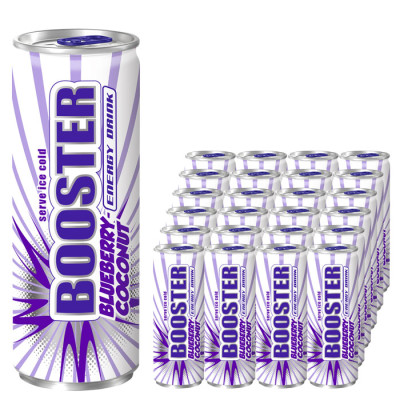 Booster Energydrink Blueberry-Coconut 24x 0,33L Dose 